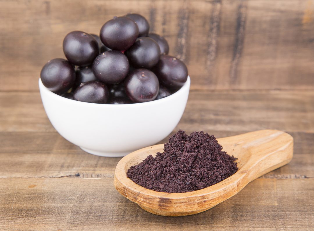 Know the benefits of acai powder acai Blue Macaw Flora